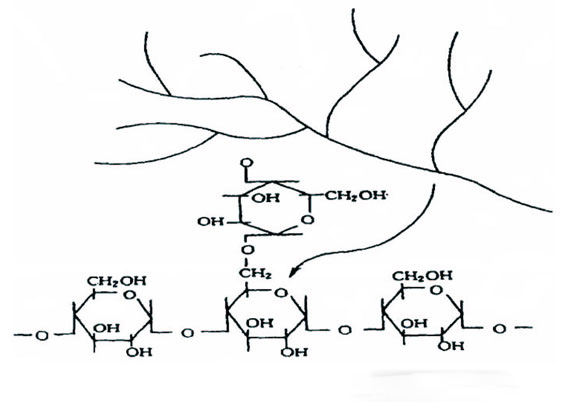 淀粉基分子結構圖 淀粉基分子結構圖