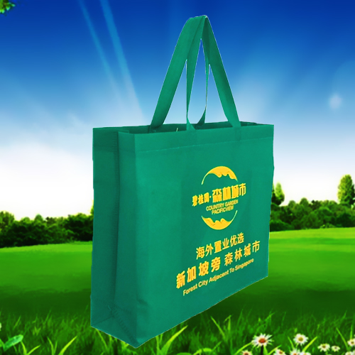 普通電壓無紡布手提袋 普通電壓無紡布手提袋