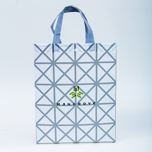 無(wú)紡布袋.jpg 無(wú)紡布袋.jpg