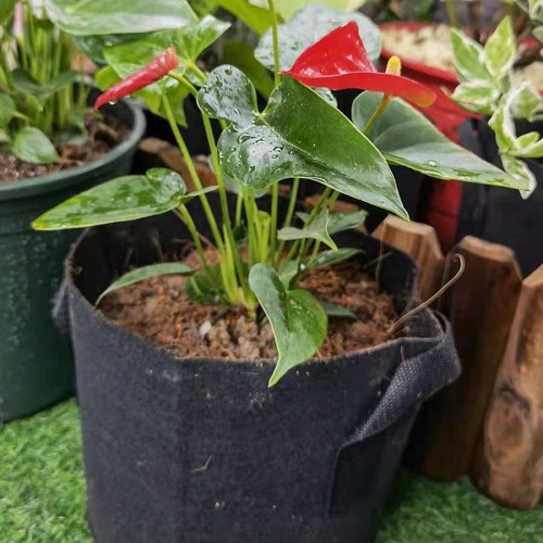 微信圖片_20210818142527.jpg 微信圖片_20210818142527.jpg